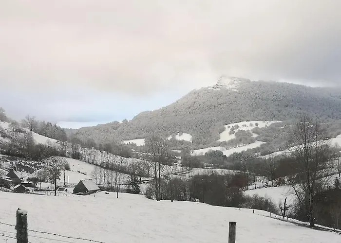 Gites Entre Salers Et Le Puy Mary Dans Le Cantal