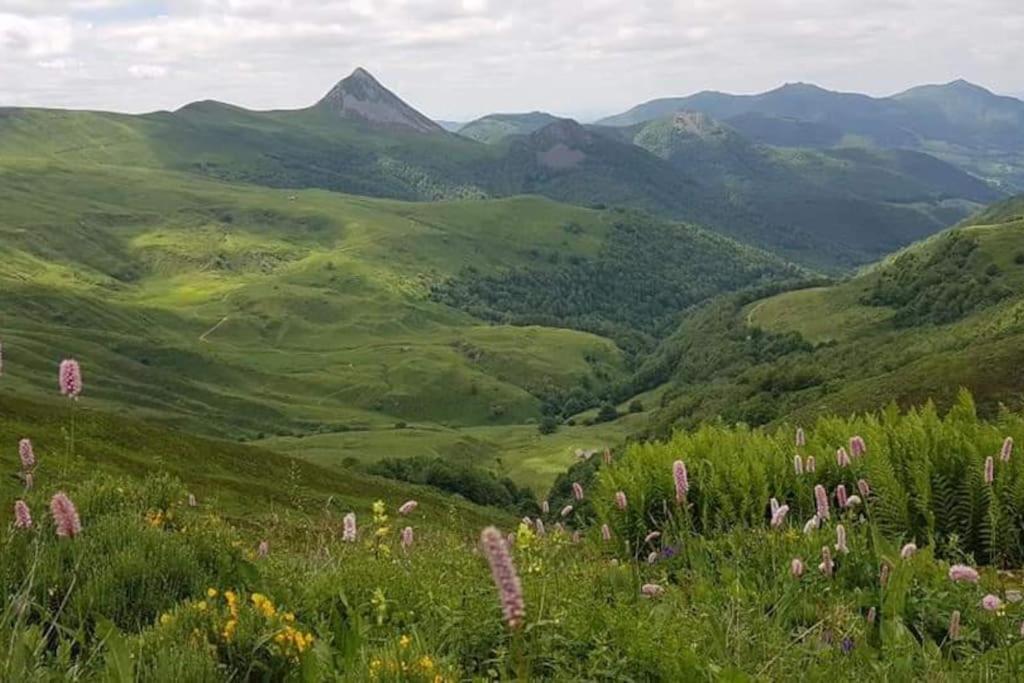 Entre Salers Et Le Puy Mary Dans Le Cantal *
