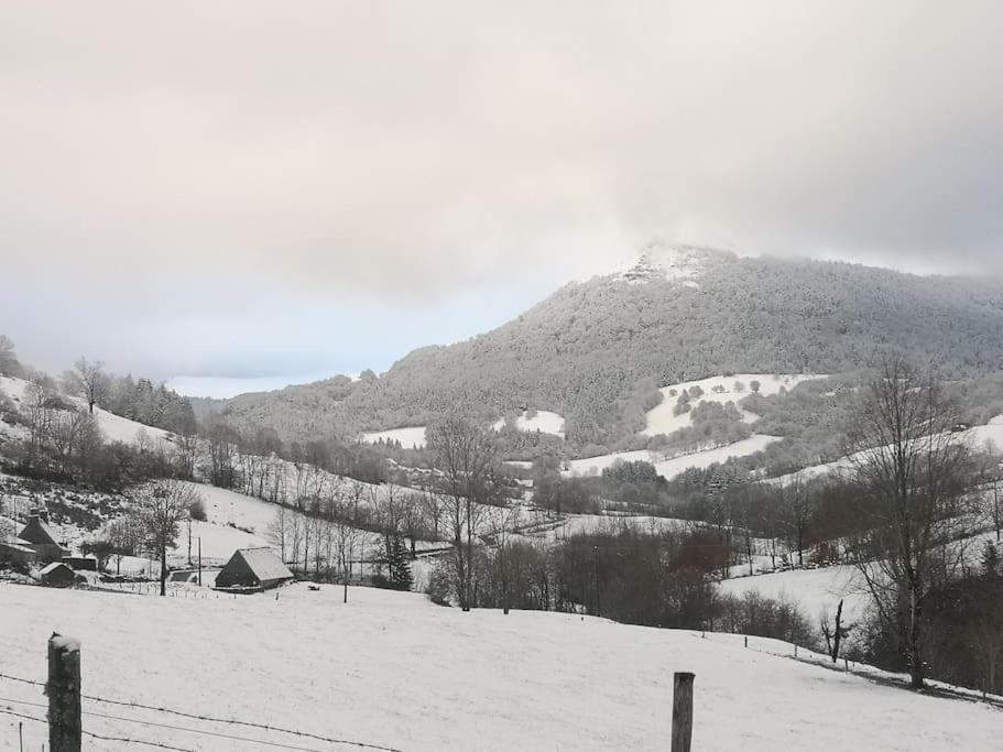 Entre Salers Et Le Puy Mary Dans Le Cantal * Saint-Paul-de-Salers