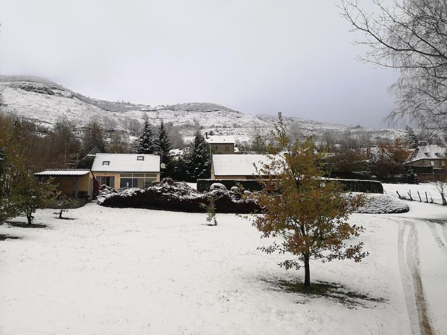 Entre Salers Et Le Puy Mary Dans Le Cantal Holiday home